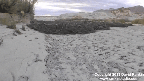 flash flood GIF