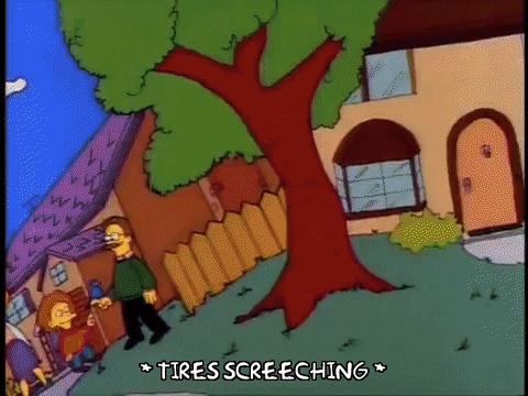 homer simpson wtf GIF