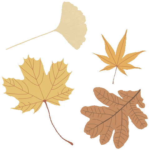 Illustration Fall Sticker