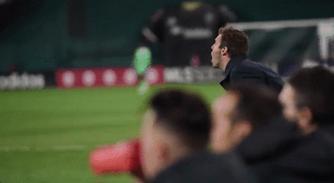 soccer dc GIF by D.C. United