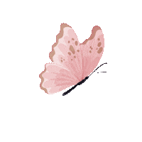 arianaraizer butterfly borboleta ariana raizer simples Sticker