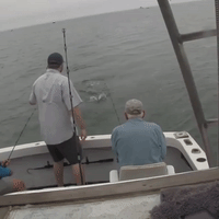Flying Great White Shark Steals Fisherman's Catch