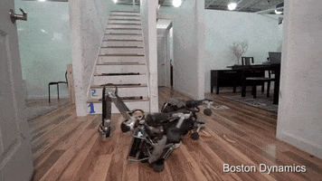 GIF by The Telegraph