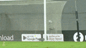 Fcbj GIF by Beitar Jerusalemn F.C