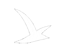 Mouette Sticker by Saint Benoît