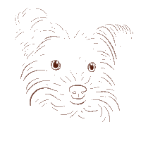 Serendipit Consulting GIF by Serendipit