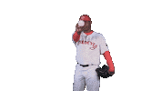 Pitcher Throwing Stuff Sticker by Winnipeg Goldeyes Baseball Club