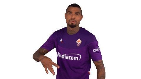 Serie A Yolo Sticker by ACF Fiorentina