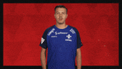 Sv Darmstadt 98 Football GIF by Bundesliga