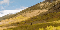 utah GIF