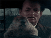 bill murray GIF