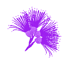 Arts Festival Wellington Sticker by CubaDupa