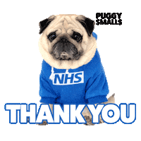 Health Care Thank You Sticker by Puggy Smalls