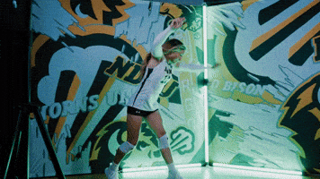 Volleyball Bison GIF by NDSU Athletics
