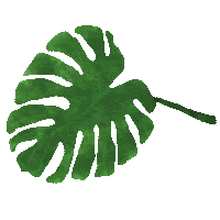 Plant Die Sticker by NZ Collab