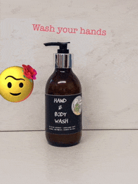 Washyourhands GIF by Wheesht