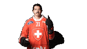 Celebrate National Team Sticker by Swiss Ice Hockey
