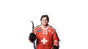 Celebrate National Team Sticker by Swiss Ice Hockey