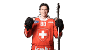 Celebrate National Team Sticker by Swiss Ice Hockey