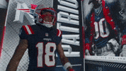 One Hand Football GIF by New England Patriots