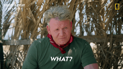 Gordon Ramsay Disney Plus GIF by National Geographic TV