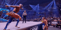 Jungle Boy Wrestling GIF by AEWonTV