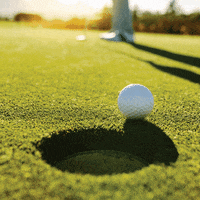 AloeUp golf aloe aloe vera hole in one GIF