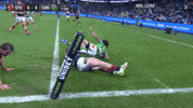 Try Nrl GIF by Canberra Raiders