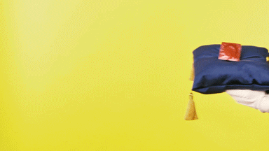 Stop Motion Protection GIF by Mighty Oak