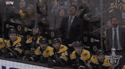 celebrate ice hockey GIF by NHL