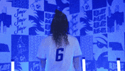 Creighton Bluejays Softball GIF by Creighton University Athletics