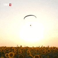 Happy See You GIF by TRT