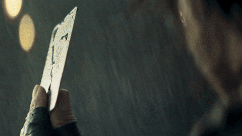 King Shahrukh GIF by Red Chillies Entertainment