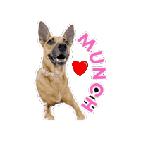 Munch Dog Sticker