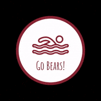 Golden Bears GIF by HIES Athletics