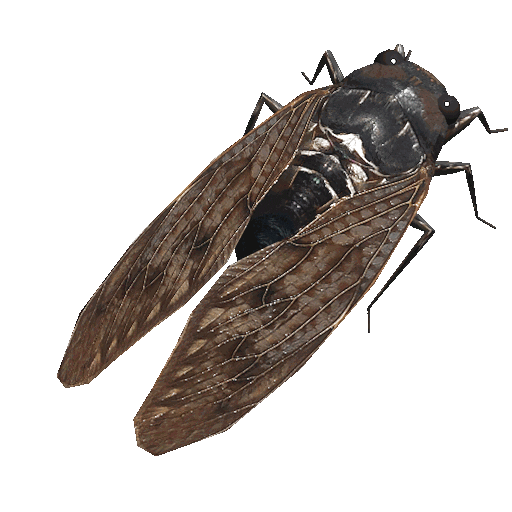 OmegaC semi cicada omegac semimemory Sticker