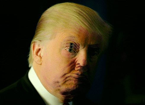 Donald Trump GIF by weinventyou