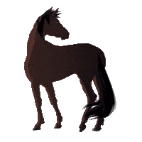 Queen B Beyonce Sticker by Megan Thee Stallion