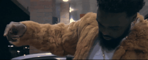 like a boss fly GIF
