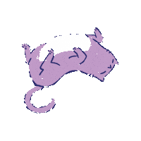 Cat Spinning Sticker by The Menagerie