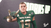College Football GIF by USF Athletics