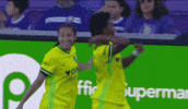 Washingtonspirit GIF by National Women's Soccer League