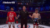 GIF by Bellator