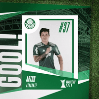 GIF by SE Palmeiras