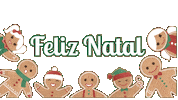 Feliz Natal Ano Novo Sticker