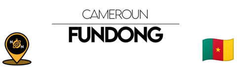 Nn Cameroon Sticker by NoirNomads