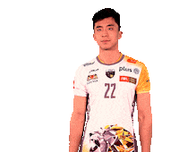 Volleyball Smile Sticker by trefl_gdansk