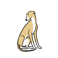 NoodleHorseDoodles love dog dog love greyhound Sticker