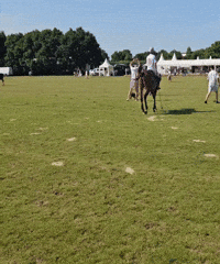 Horse Polo GIF by cam/b ® – the photo brothers