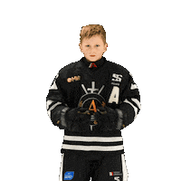 alfahockey хоккей хоккеист альфа хоккейспб Sticker